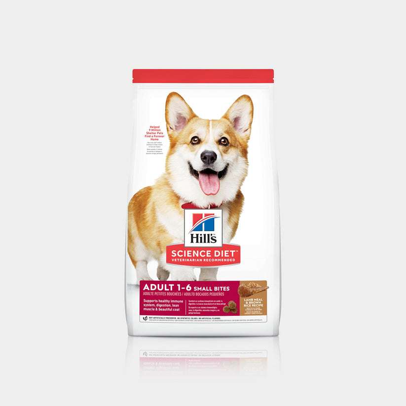Hill's Science Diet Adult Advanced Fitness Small Bites Lamb & Rice Alimento con Cordero y Arroz para Perros Adultos de Razas Pequeñas - 4.5 lb Black Dog Panamá