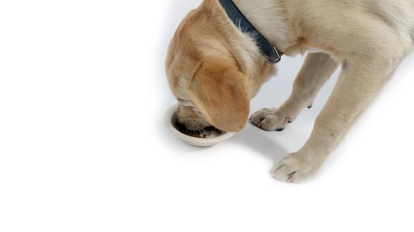 MPets Bamboo Pet Bowl – 300 ml