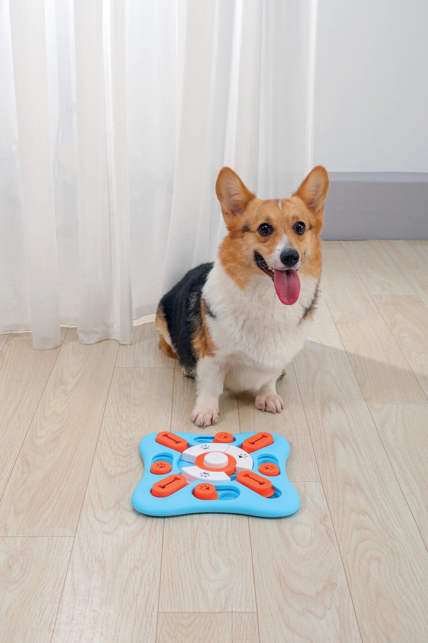 MPets Brainy Games Copernic – L2 Medium