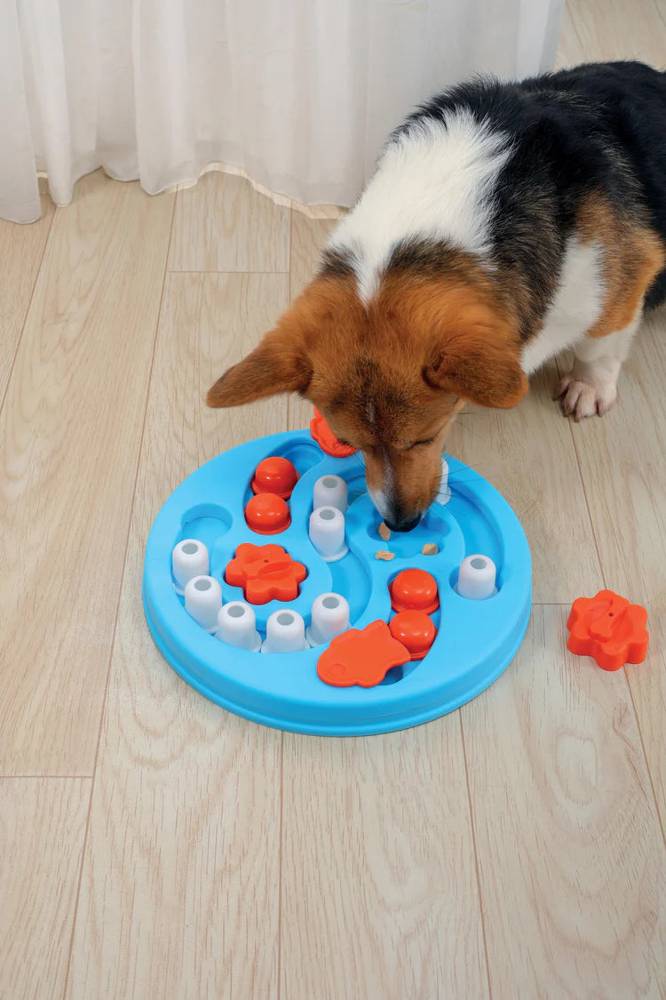 MPets Brainy Games Einstein – L3 Difficult