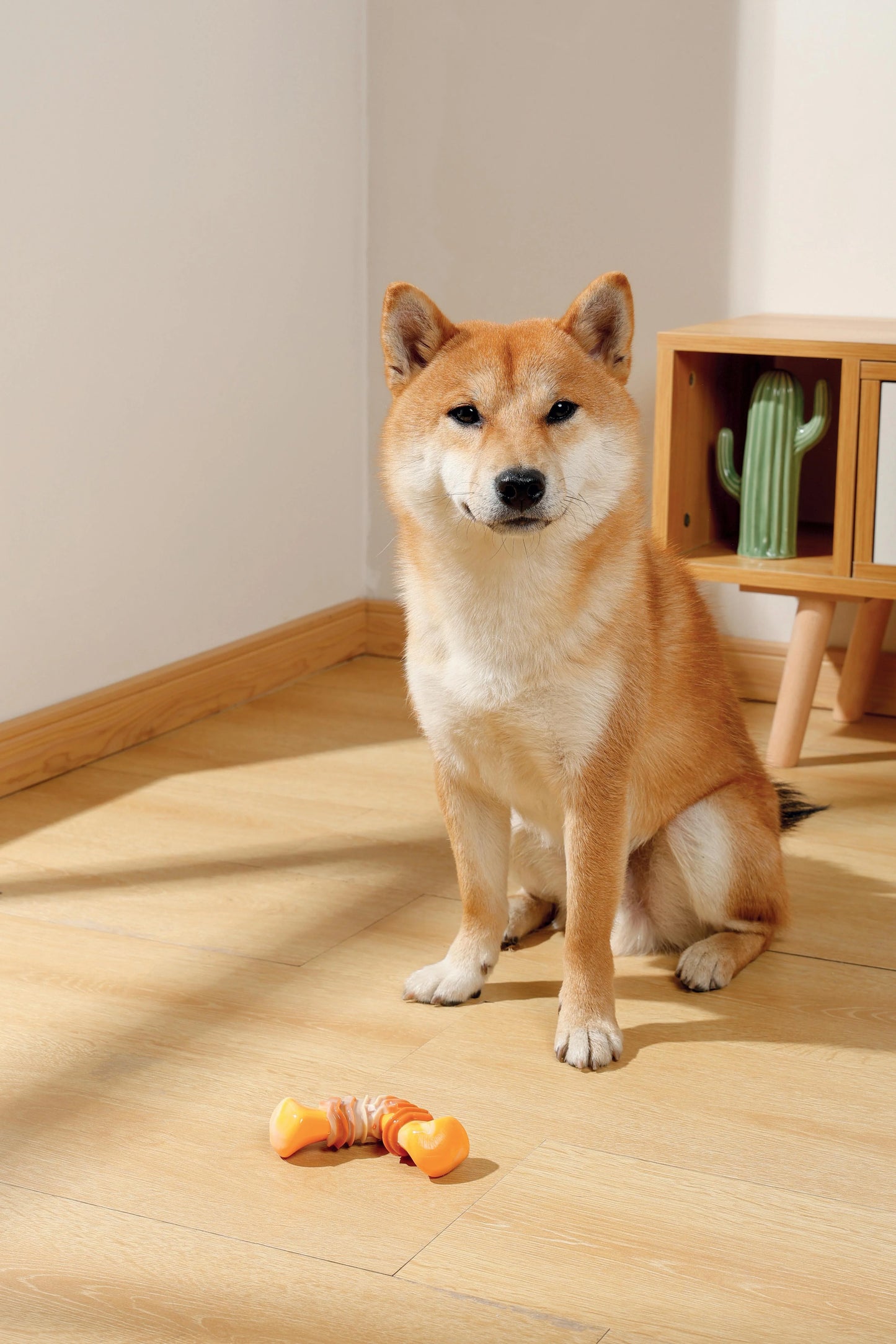 MPets Carnivore Boomerang Bone Sabor Tocino – 12.5 x 6.1 x 3.7 cm