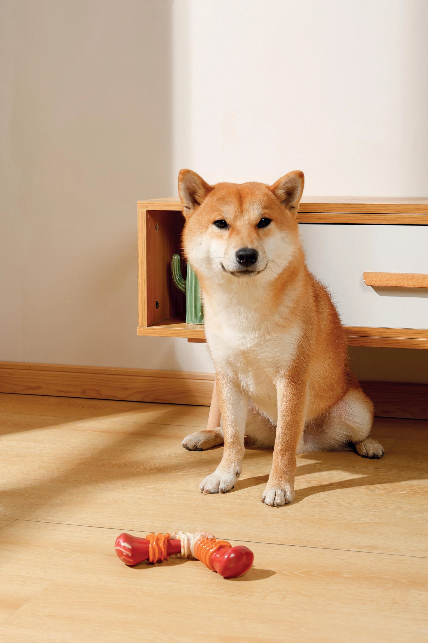 MPets Carnivore Boomerang Bone Sabor Tocino – 17.8 x 9.3 x 4.1 cm