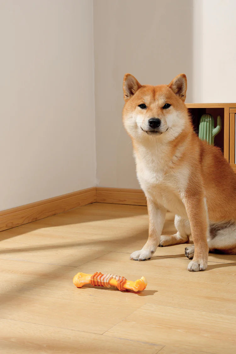 MPets Carnivore Dog Toy Stick Bone Sabor Tocino – 17.8 x 4.9 x 4 cm