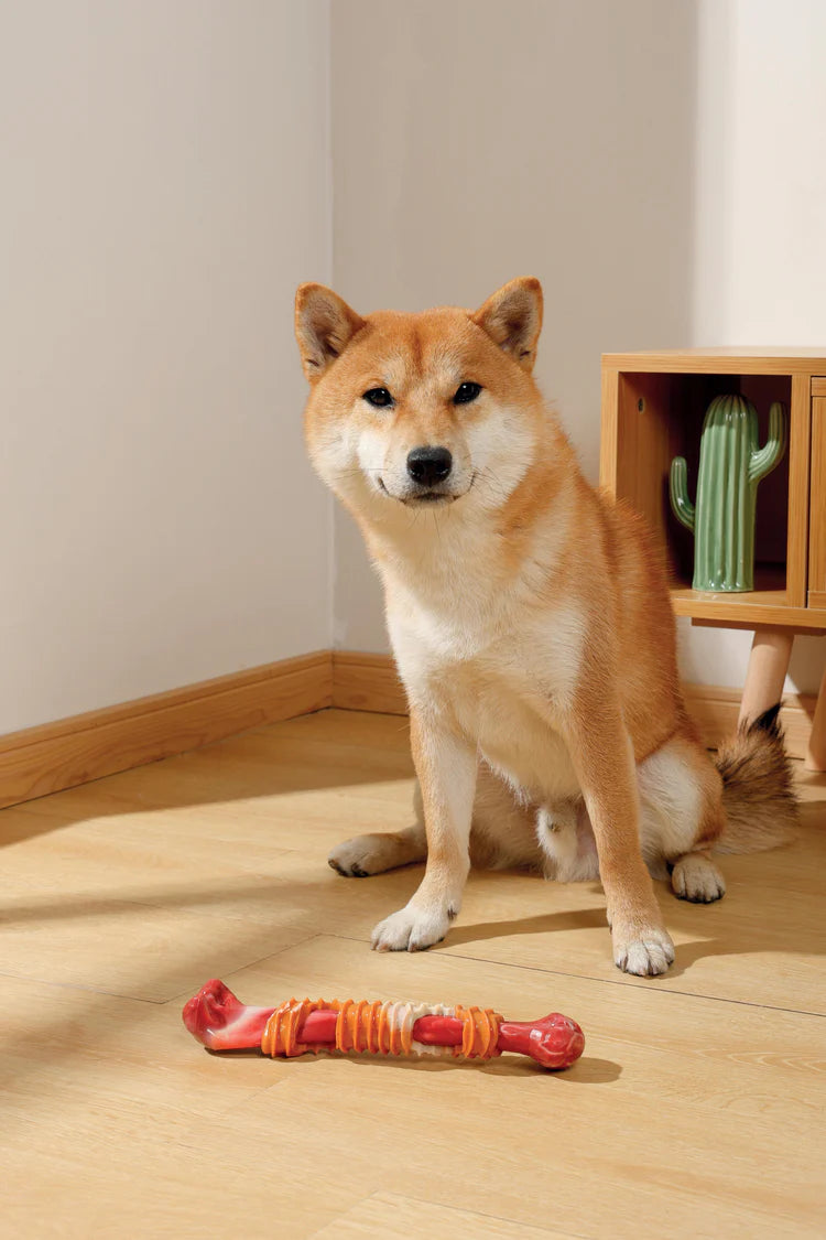 MPets Carnivore Stick Bone Sabor Tocino – L