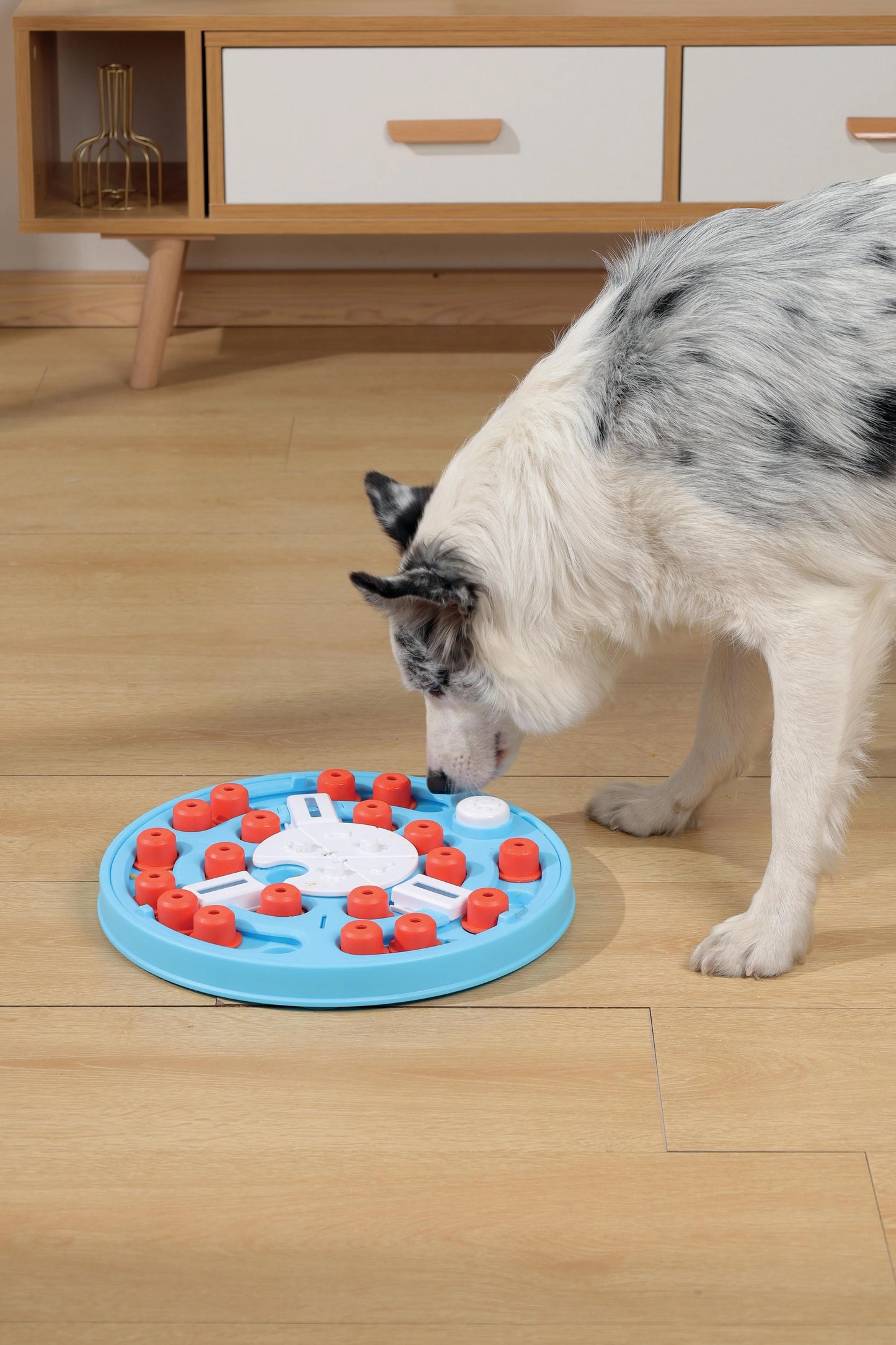 MPets Brainy Games Da Vinci – L/L3 Difficult