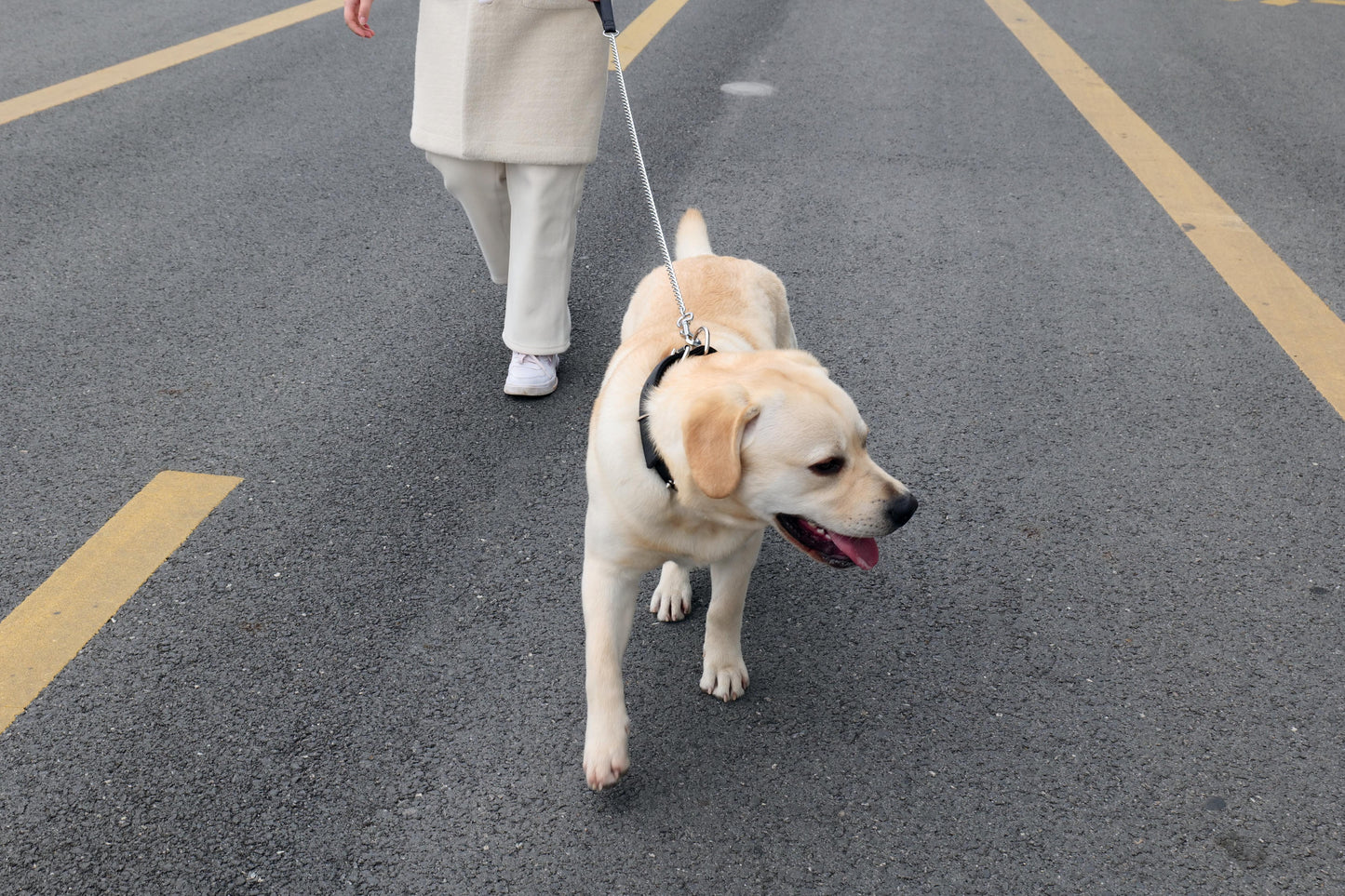 MPets Chain Leash Correa de Cadena – 3 mm / 120 cm