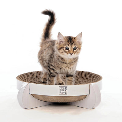 Tabla Rascadora CLEVELAND – 35 × 35 × 10 cm - Black Dog Panamá