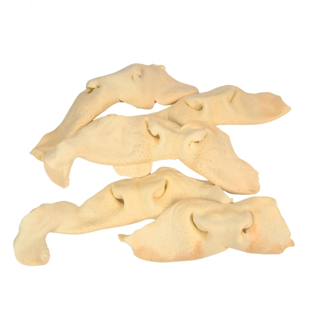 BEEF SNOUTS - Black Dog Panamá