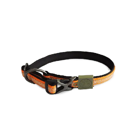 DOG COLLAR - TANGERINE-L - Black Dog Panamá