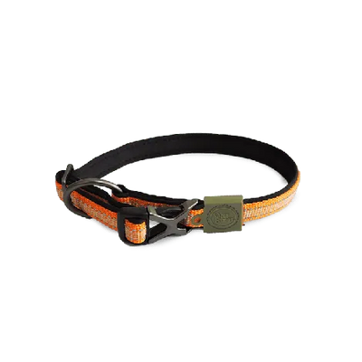 DOG COLLAR - TANGERINE-L - Black Dog Panamá