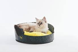 MAUI Felt Basket - Black Dog Panamá