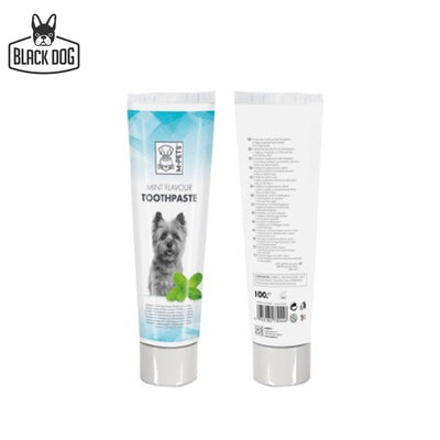 TOOTHPASTE MINT FLAVOUR - Black Dog Panamá