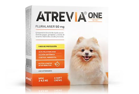 ATREVIA ONE MINI X 1TAB - Black Dog Panamá