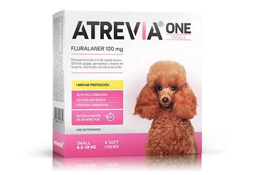 ATREVIA ONE SMALL X 1TAB - Black Dog Panamá