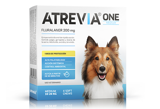 ATREVIA ONE MEDIUM X 1TAB - Black Dog Panamá