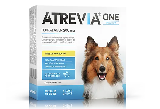 ATREVIA ONE MEDIUM X 1TAB - Black Dog Panamá