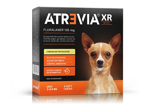 コタアイケア1 TREATMENT Atrevia XR Mini Tableta Antiparasitaria 2-4.5 kg | Black Dog