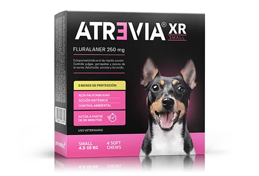 ATREVIA XR SMALL X 1TAB - Black Dog Panamá