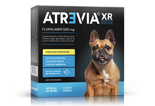 Atrevia XR Medium Tableta Antiparasitaria 10-20 kg | Black Dog