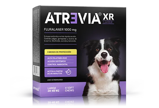 Atrevia XR Large Tableta Antiparasitaria 20-40 kg | Black Dog