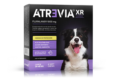 ATREVIA XR LARGE X 1TAB - Black Dog Panamá