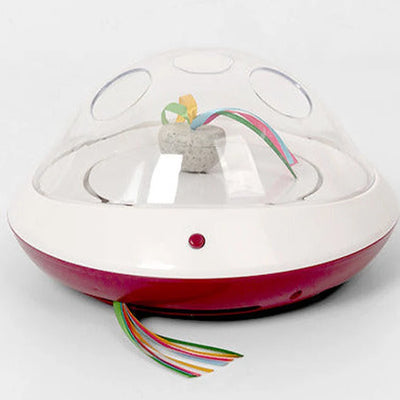 PEEK-N-PLAY - Black Dog Panamá