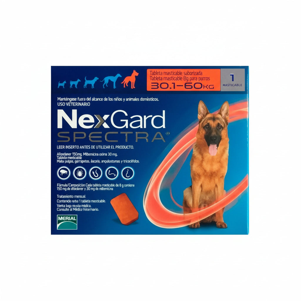 NEXGARD SPECTRA XL 30.1 - 60KG - Black Dog Panamá