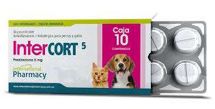 INTER CORT 5 (PREDNISOLONA) COMP - Black Dog Panamá