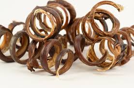 PIG PIZZLE SPRINGS - Black Dog Panamá