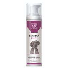 DRY FOAM - Black Dog Panamá