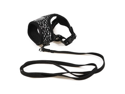 LETSGO Arnés y Correa para Gatos - Negro