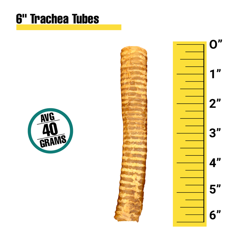 Tráquea de Res 6" – Snack Natural para Perros