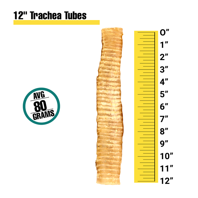 Tráquea de Res 12" – Snack Natural para Perros
