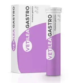 VETILEA GASTRO DROGUERIA E IMPORTADORA ALEMANA,S.A.