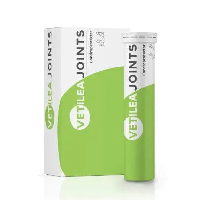 VETILEA JOINTS DROGUERIA E IMPORTADORA ALEMANA,S.A.