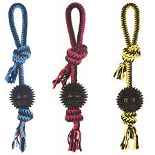 TWIST Prickly Ball - Black Dog Panamá