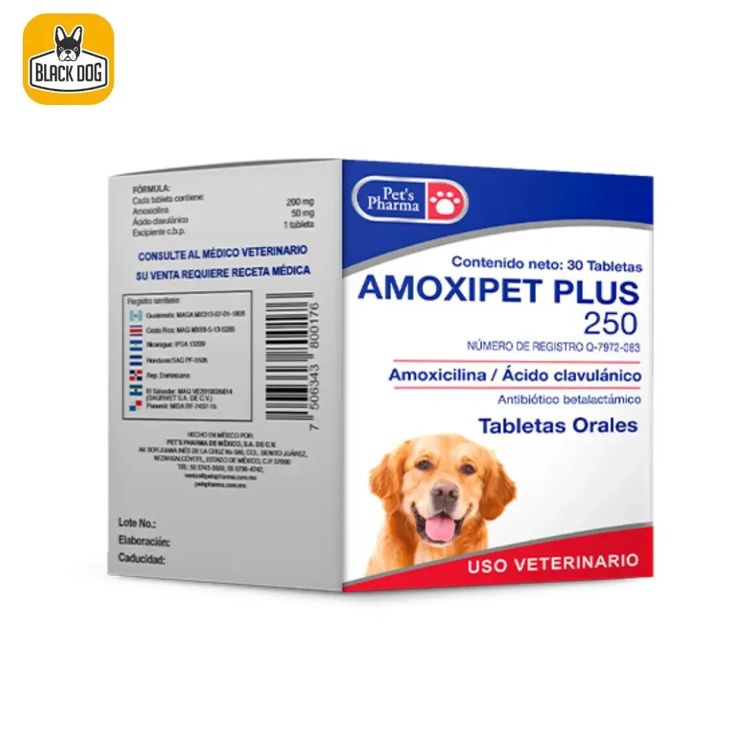 Caja de amoxipet plus 250 para perros tabletas orales amoxicilina acido clavulanico uso veterinario INSUVET