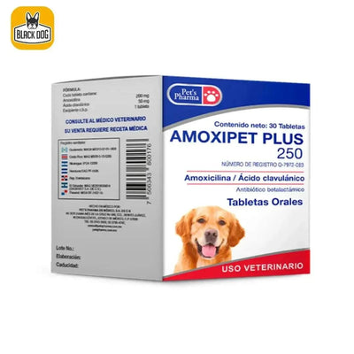 INSUVET amoxipet plus 250 tabletas para perros, antibiótico amoxicilina y ácido clavulánico, tratamiento veterinario sostenible.