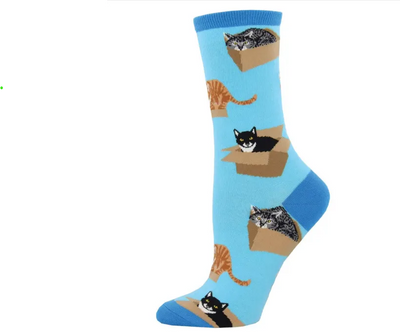 CAT IN A BOX - AZURE - 9-11 - Black Dog Panamá