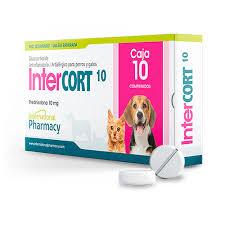 INTER CORT 10MG (PREDNISOLONA) COMP - Black Dog Panamá