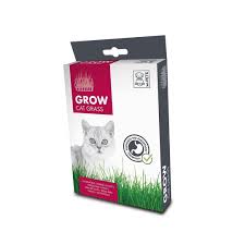 GROW Cat Grass - Black Dog Panamá