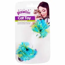 Cat dummbell flower - Black Dog Panamá