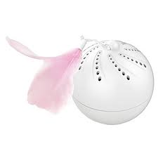 ROLLING Ball - Black Dog Panamá