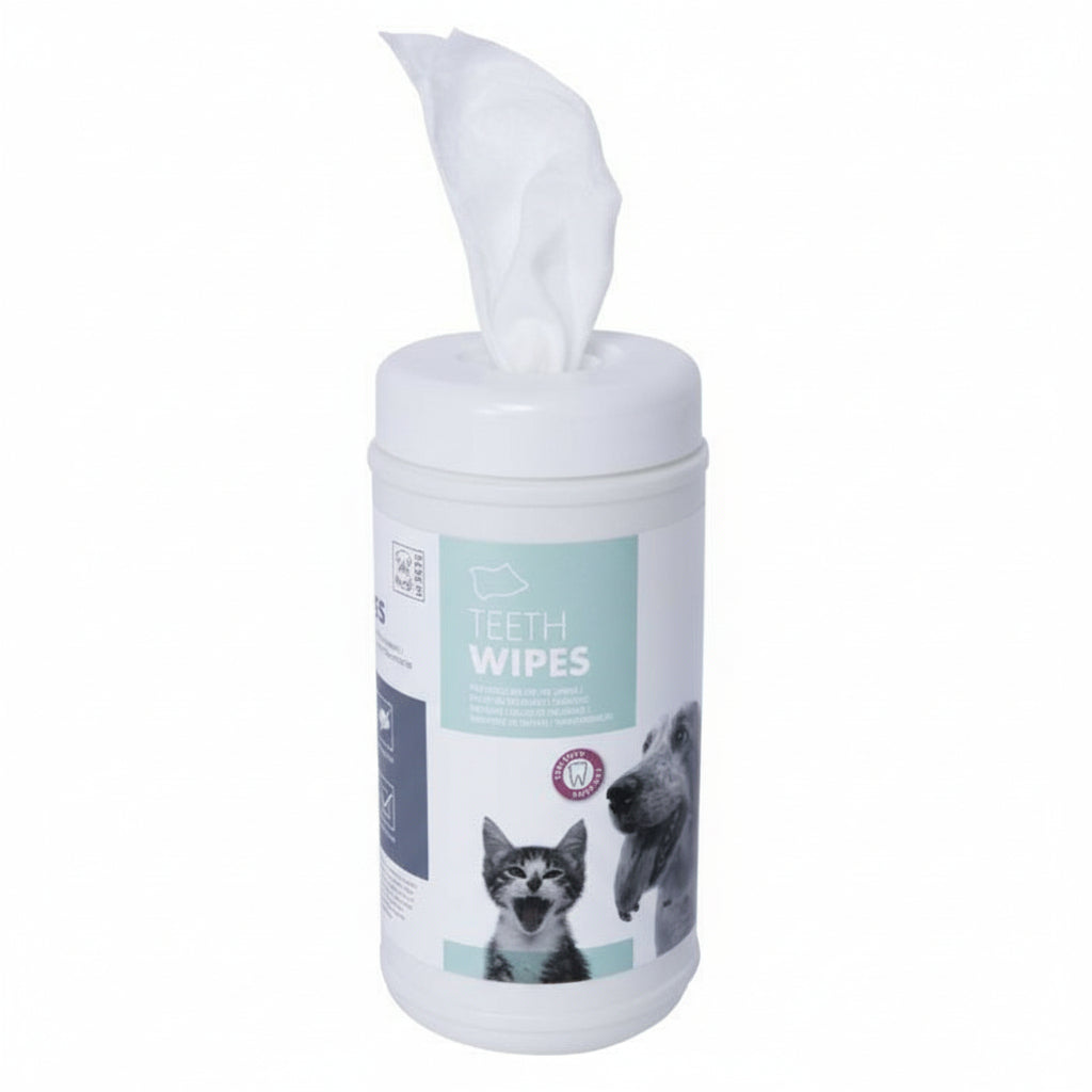 TEETH Wipes - 40 pcs - Black Dog Panamá