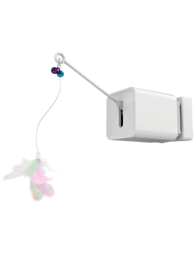 BOOGIE Box - Black Dog Panamá