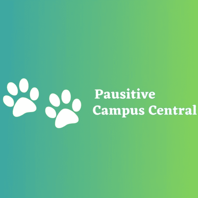 Pausitive Up
