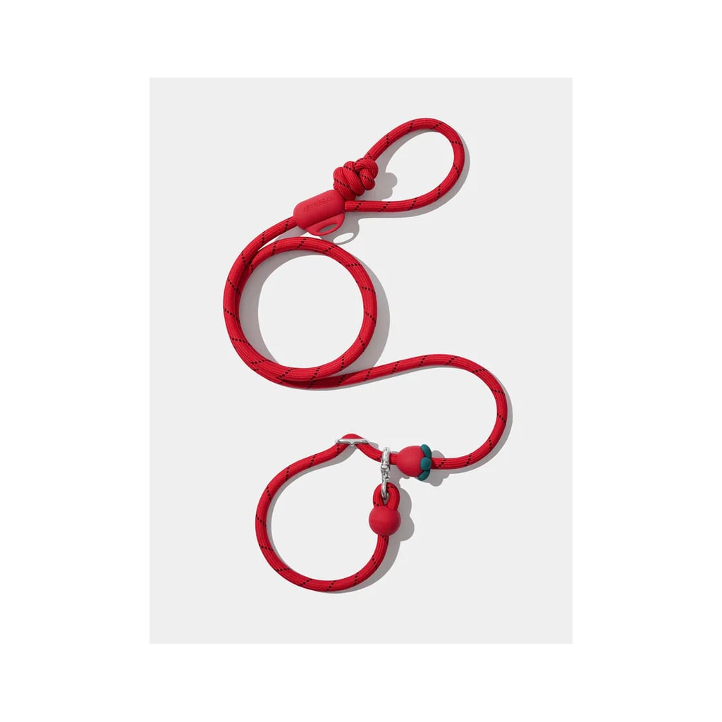 Connect Multifunctional Hands-Free Rope Leash for Pets (Strawberry)