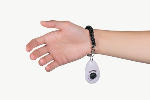 M-pets Click Training Tool