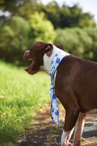 M-pets Cooling Collar Scarf L White