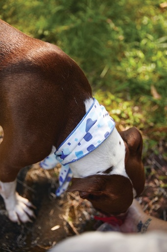 M-pets Cooling Collar Scarf L White